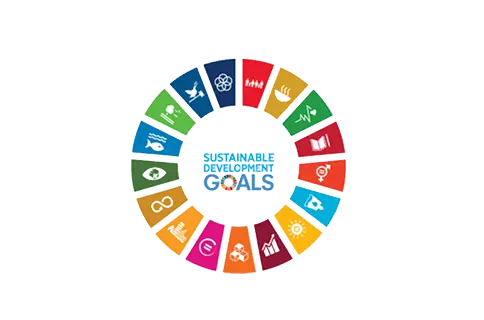 SDG logo.